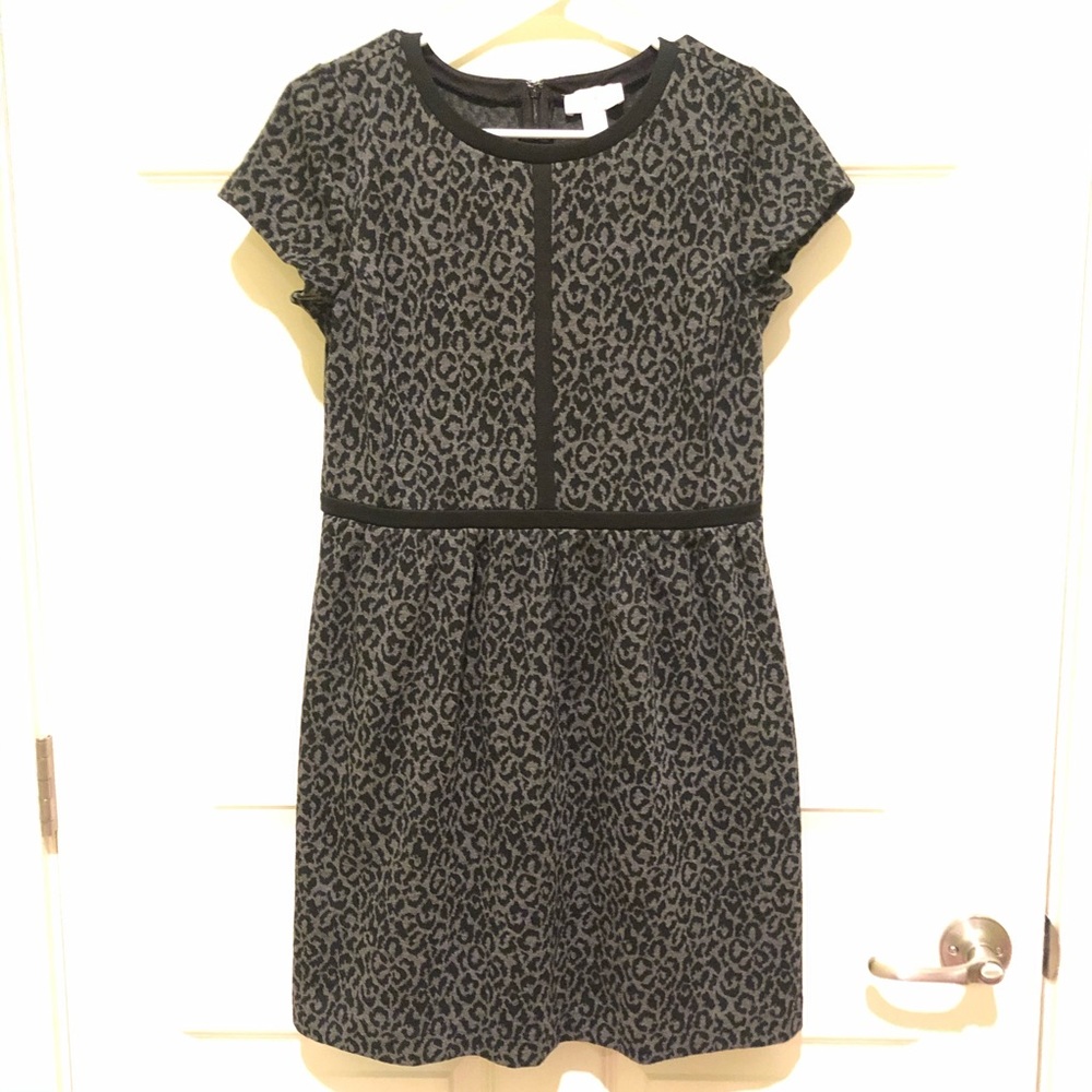 LOFT Cheetah Gray Black A-Line Dress
